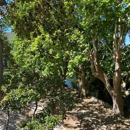 Vue Sur La Sorgue